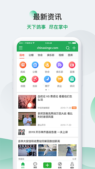 中国信鸽信息网截图2