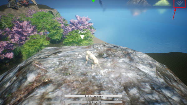 黑曼巴悟空