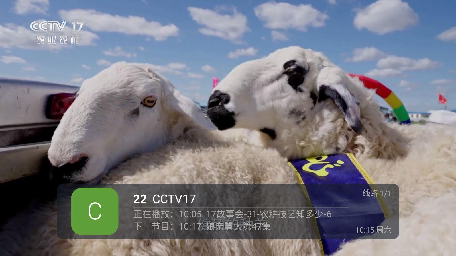 蚂蚁直播tv版截图1