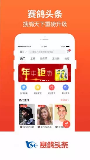 赛鸽头条截图3