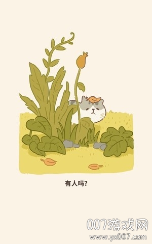 动物餐厅趣味版 动物餐厅趣味版美食图