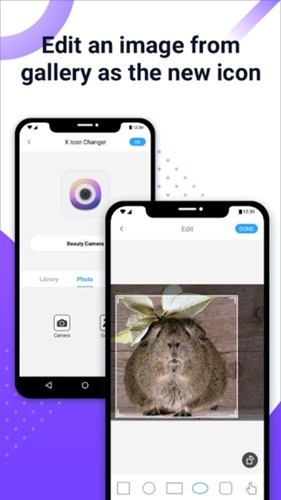 XIconChanger截图2