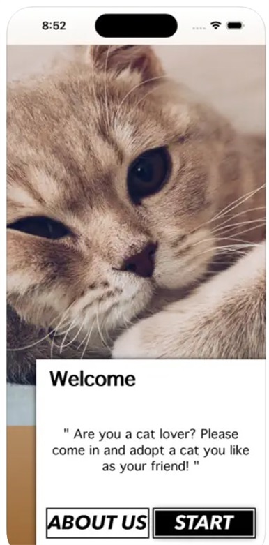 爱猫物语宠物店iOS截图2