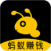 蚂蚁盒子打码录入app