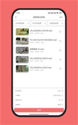 格式工厂永久免费版截图1