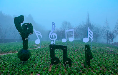 LinLi Music最新版下载
