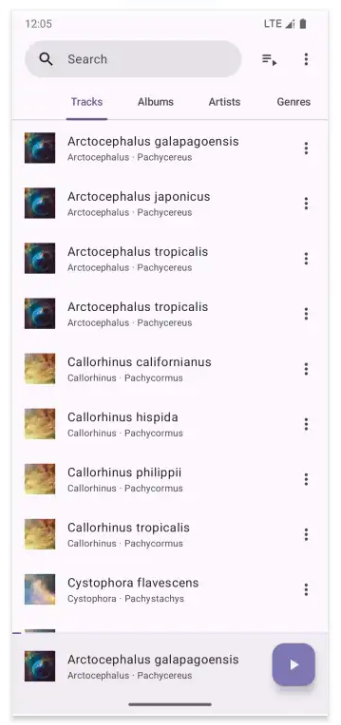 Phocid音乐自动扫描