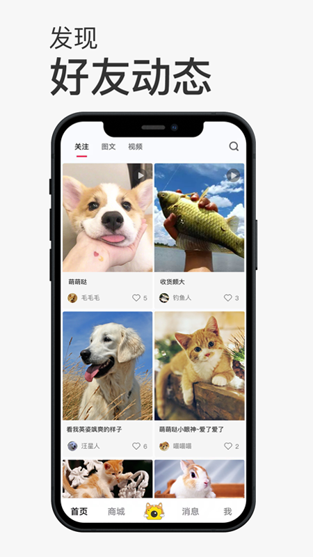 小宠书app截图3