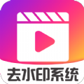 视频去水印系统免费专业版