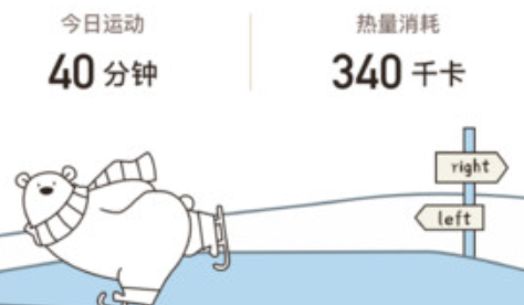 小熊体重app安卓版下载 小熊体重app安卓版下载