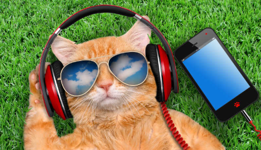 歌曲海音乐app最新版本下载 歌曲海音乐app最新版本下载