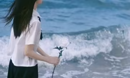 蜡笔小新追剧软件亮点