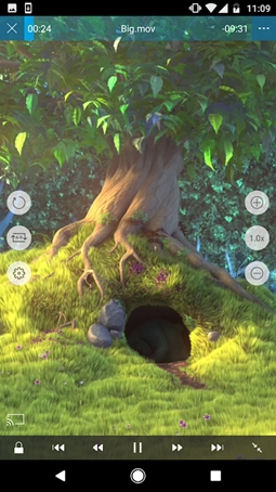 nplayer安卓版中文版截图2