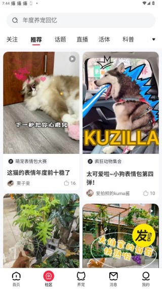 宠胖胖宠物app下载