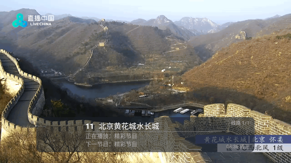 火炬DIYP电视TV版下载截图1