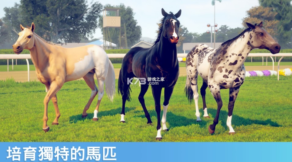 家族传奇截图3