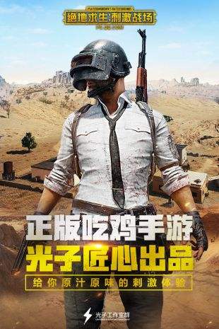 绝地求生手游亚服截图3