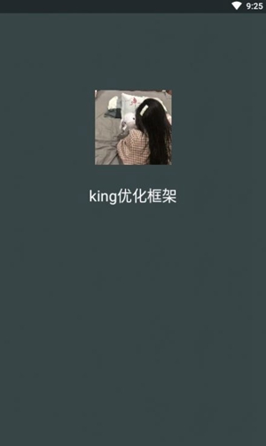 king优化框架1.2截图2