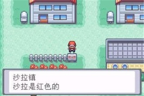 口袋妖怪叶绿安卓版截图3