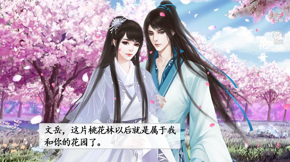 武侯传人截图3