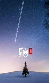 中兴音乐最新版截图1