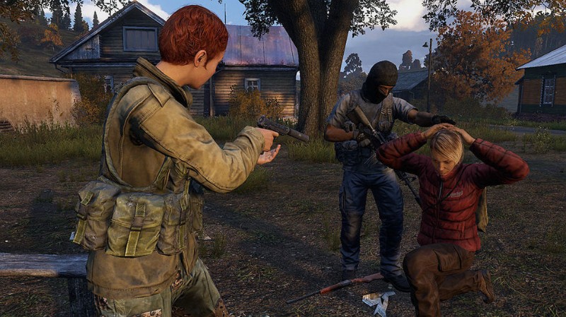 dayz手机版截图3