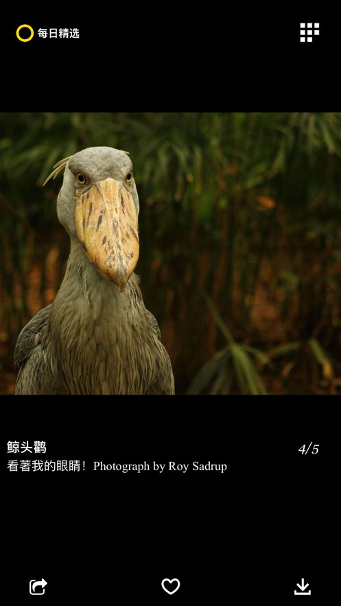 每日精选下载安装截图2