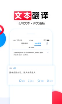 讯飞翻译截图2