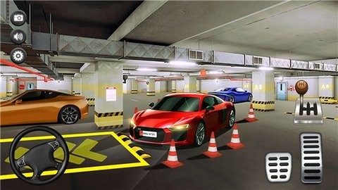 停车场真实模拟截图3