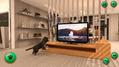 非常宠物猫模拟器截图3