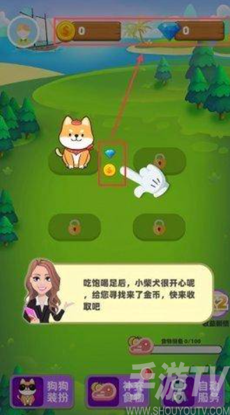 柴犬日记