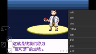 口袋妖怪永恒纪元自带金手指截图2