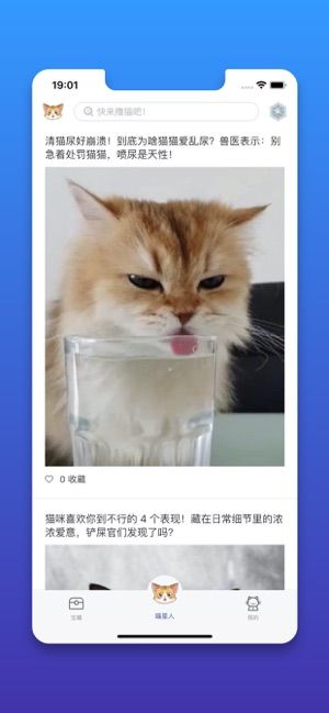 行走的喵星人截图3