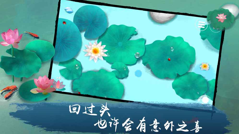 荷露截图2
