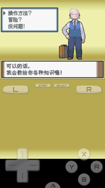 宝可梦白金光随机版截图1