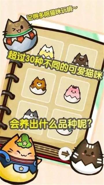 赚钱猫赚钱版截图1
