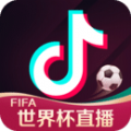 抖音23.1世界杯