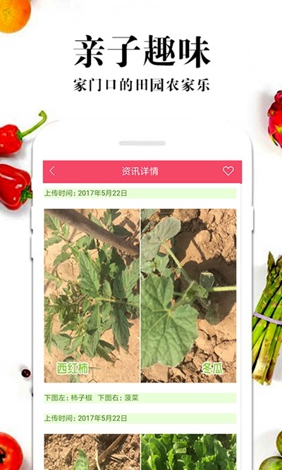 特蔬农场截图1