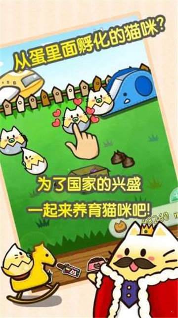 赚钱猫赚钱版截图3