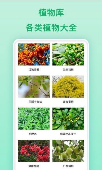 行色识物截图3