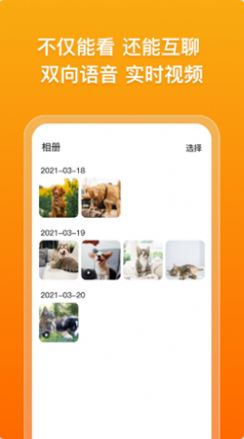 古力古利截图3