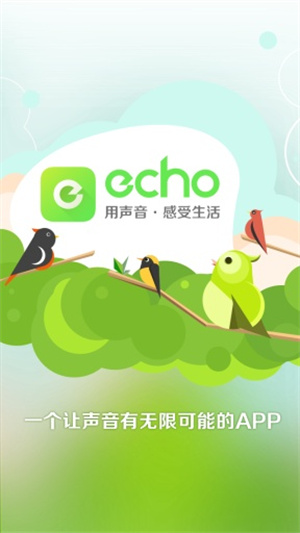 echo截图1
