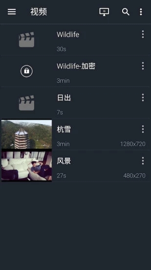 金狮播放器截图3