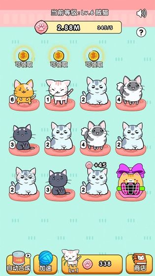 我的小猫截图2