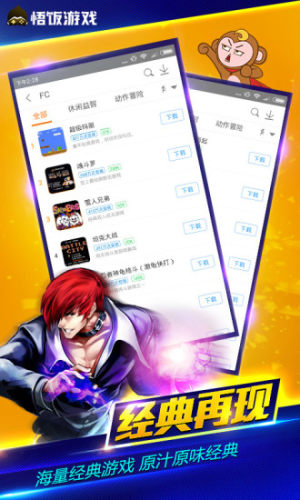 悟饭游戏厅nds插件截图2