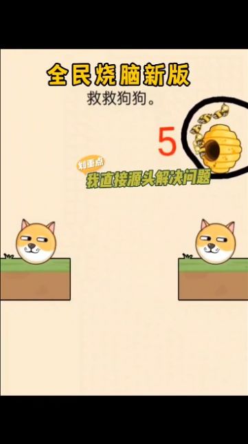 救救狗狗蜜蜂游戏截图1