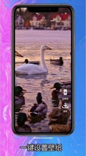 简约壁纸截图2