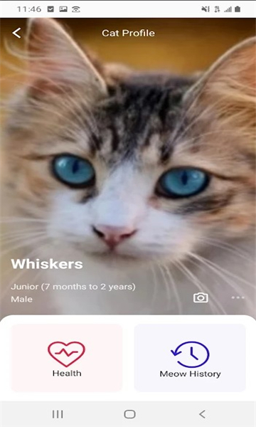 喵说meowtalk中文截图2