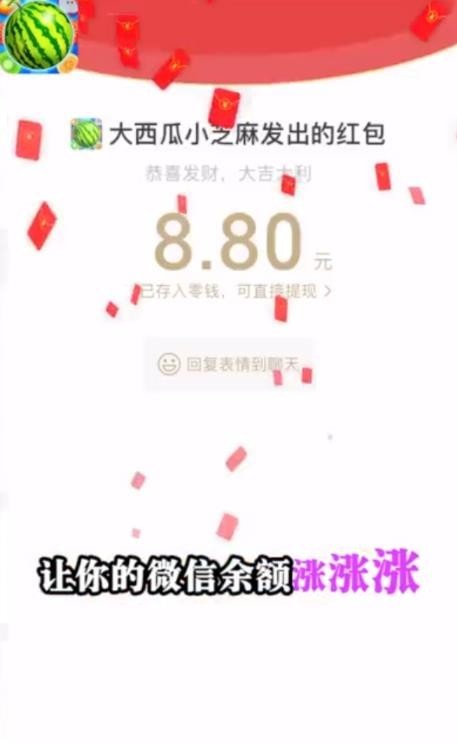 大西瓜小芝麻红包截图1