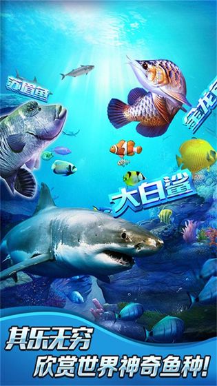 全民钓鱼2截图1